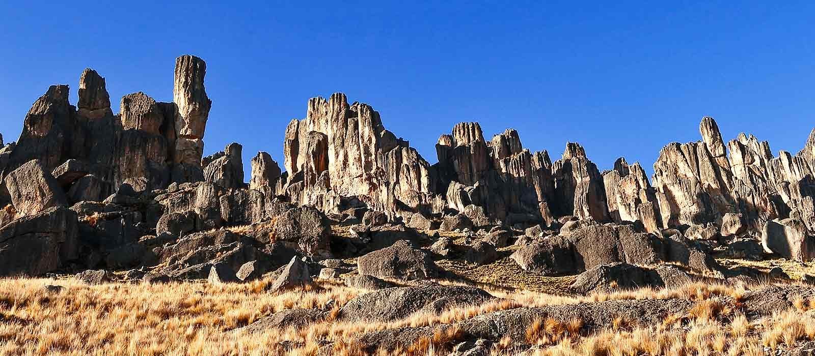 BOSQUE DE PIEDRAS Y CATARATA DE PILLONES